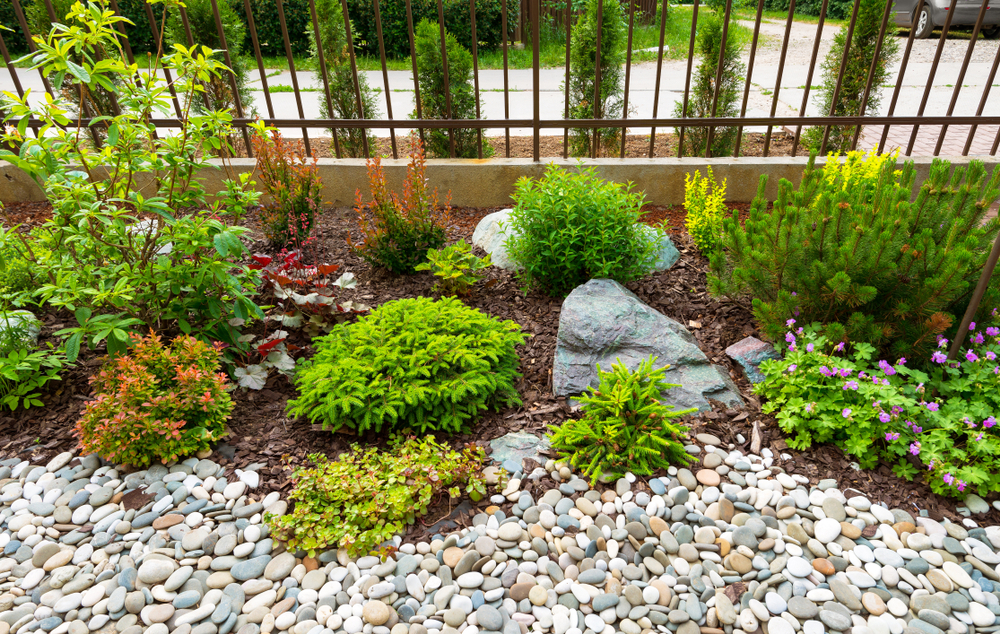Small yard with multiple textures of rock and mulch with small shrubs throughout.