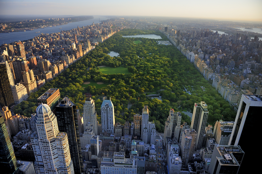 Aerial View of Central Park in New York City, NY